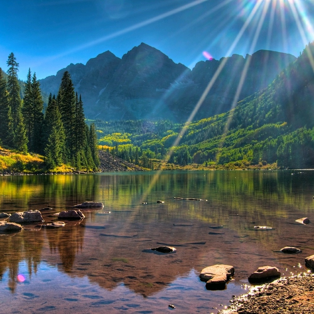 Meet your Posher, Virginia